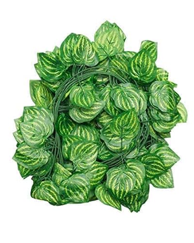 Image of Homesake Battery Operated Home Decor Money Plant Leaf Garland Wreath Vine, Ramadan Decorations for Home, ramzan Festive Decor, Diwali Lights for Decoration Home 50 LED - Set of 2(Plastic, Green)