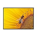 Impression : encre écologique pour intérieur, haute qualité.