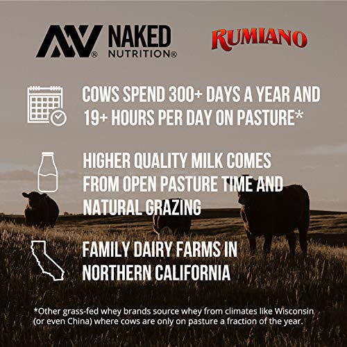 Naked Whey Chocolate Protein - All Natural Grass Fed Whey Protein Powder, Organic Chocolate, and Coconut Sugar 5lb Bulk, GMO Free, Soy Free, Gluten Free Aid Muscle Growth and Recovery 60 Servings - Image 4