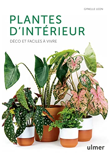 Plantes d'intérieur -...