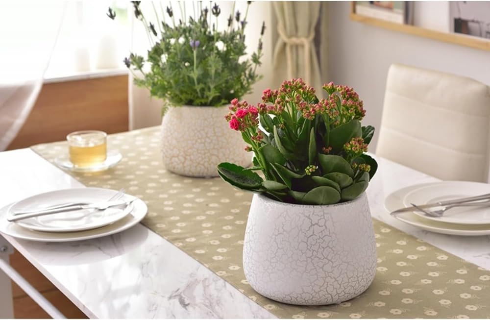Doniczka Ozdoba do dekoracji wnętrz Doniczka Ceramiczna doniczka na kwiaty Duże Bonsai Zielona roślina Doniczka balkonowa Wazon Doniczki-A