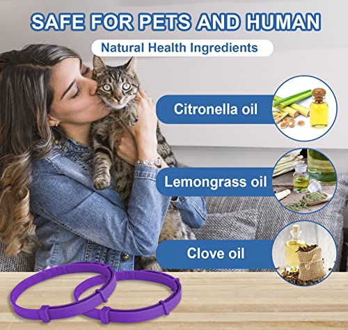 Purple Flea and Tick Collar for Cats & Kittens, Cat Flea Collar 2 Pack Made with Plant Based Essential Oil, 8-Month… - Image 6