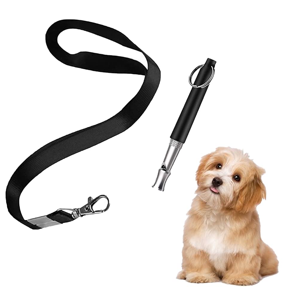Find The Best Whistle For Dog Recall Reviews & Comparison Katynel