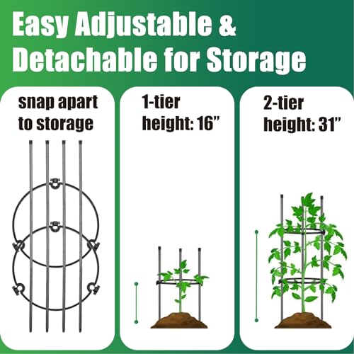 Tomato Cage, 31\" Tall Garden Trellis to Support Plant 2 Pack, Metal Tomato Cages with 2 Adjustable Support Rings for Pots, Raised Bed, Heavy Duty Cherry Tomatoes Stand for Cucumber Bean Vegetable