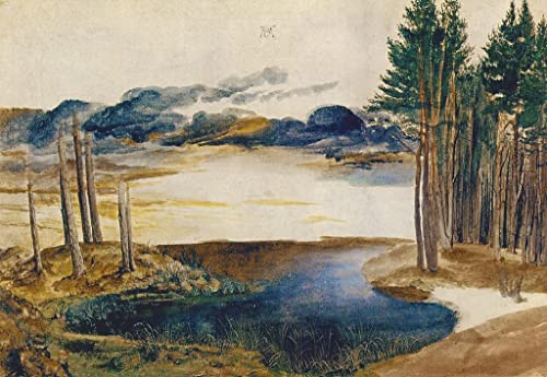 Cuadro en lienzo de Albrecht Dürer, lámina artística decorativa de 60x90cm para oficina