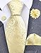 GUSLESON Mens Light Yellow Tie for Wedding Silk Paisley Necktie Pocket Square Cufflinks and Lapel Pin Brooch Set (6103-35)