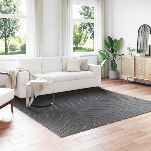 Tapis de surface anthracite PALMERAS 240x240cm en polyester
