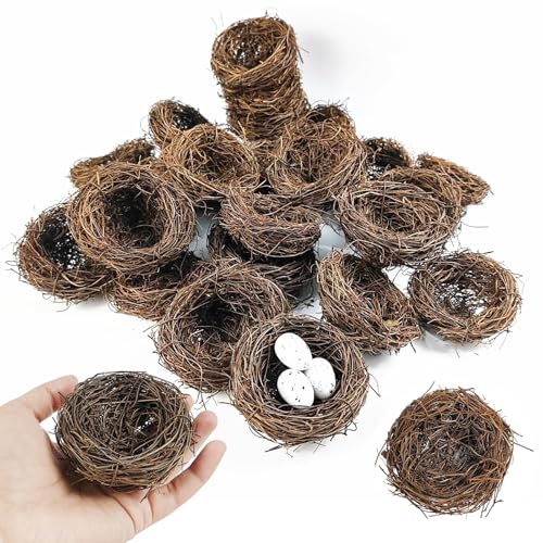 GXXMEI 20PCS 3'' Mini Artificial Bird Nest for Crafts, Easter, Party, Wedding, Patio Garden, Succulent Planter, DIY Terrarium
