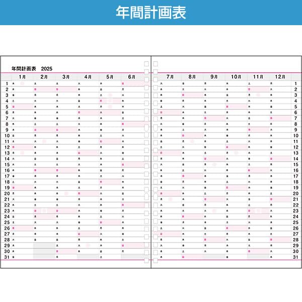 Amazon.co.jp: 2025 ダイアリー 手帳 コレクト B5サイズ 日記