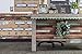 Teacher Created Resources Mint Green Scalloped Border Trim (TCR8870)