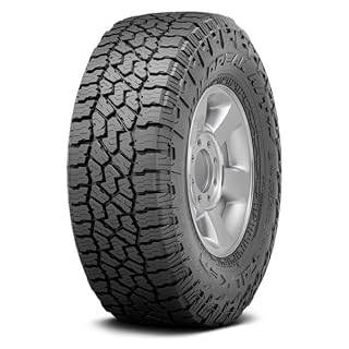 Falken Wildpeak A/T4W Tire