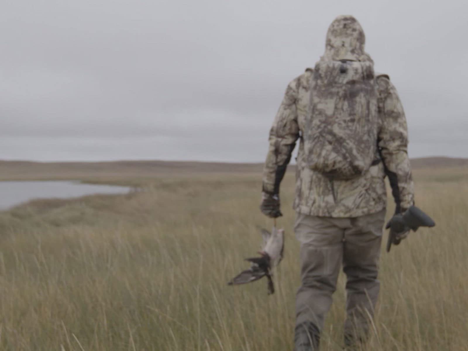 Watch MeatEater's Duck Lore Season 1 Prime Video