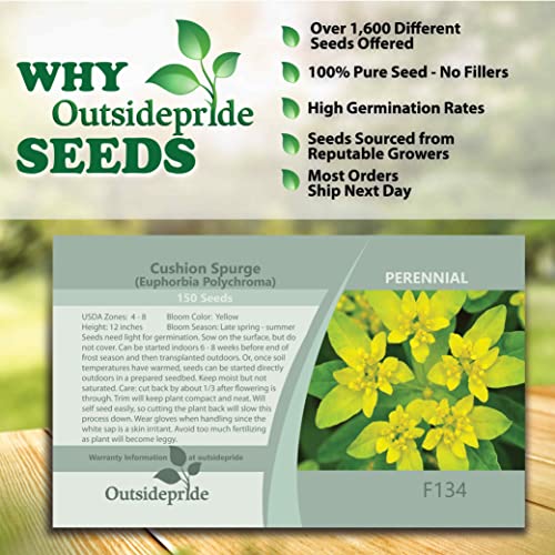 Outsidepride Euphorbia Flower Seeds Cushion Spurge Container Or Ground Cover Plant - 150 Seeds #TOP5