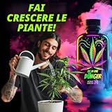 HOMEGROW24 B0D1YQ5C9V lato 2