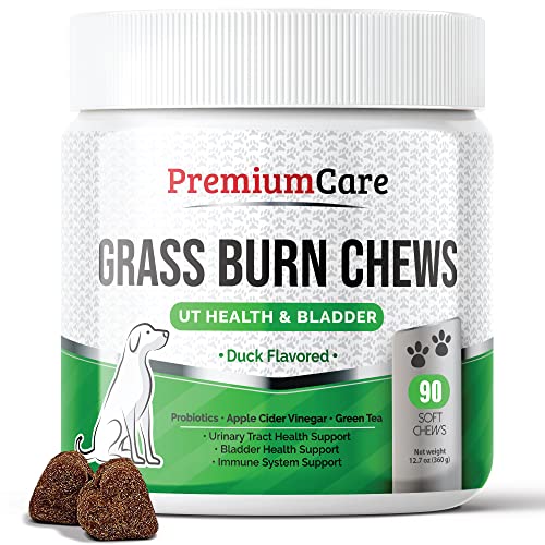 PREMIUM CARE Green Lawn Chews - Green Grass Dog Chews - No More Dead Grass Spots from Dog Urine with This Grass Neutralizer for Lawns - 90 Chews