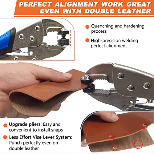Heavy Duty Snap Fasteners Kit, Snap Fastener Pliers For Metal Snaps Installation On Boat Cover/Canvas/Carpet/Leather, Snap Fastener Tool With Screw Snap& Stainless Steel 15Mm Marine Snaps-By Minliguy #TOP3