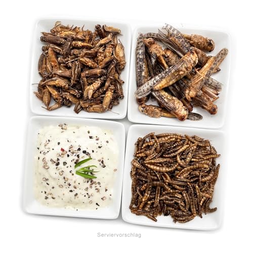 SNACK-INSECTS Essbare Insekten Mischung 25 g | Geröstete Mehlwürmer, Grillen & Heuschrecken | Proteinreicher Insekten Snack | Insekten zum Essen | Geschenk & Probierpackung