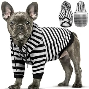 QBLEEV Dog Hoodie, Winter Dog Fleece Vest Dog Sweatshirt Warm Pullover Dog Clothes for Cold Weather, Soft Dog Sweaters Pet Winter Coats with Leash Hole Bulldog Hoodie for Small Medium Large Dogs, S