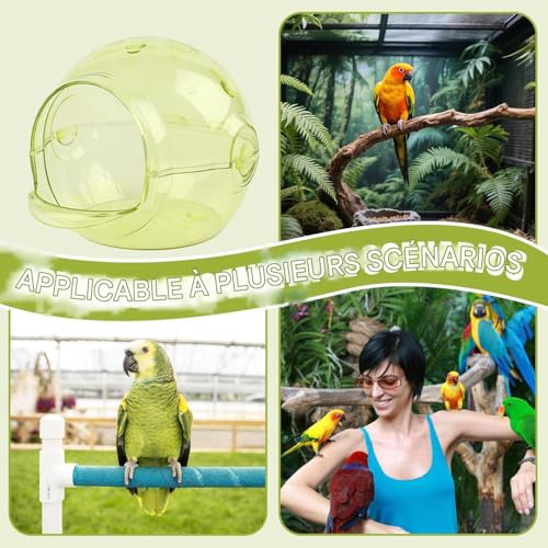 Hutte de reproduction transparente pour perruche conure et canari - 6