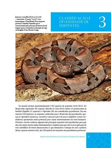 Serpentes Peçonhentas e acidentes ofídicos no Brasil