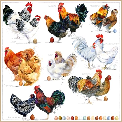 ti flair 20 servilletas de diferentes tipos de gallinas, animales, granja, Pascua, decoración de mesa, decoupage, técnica de servilletas, 33 x 33 cm