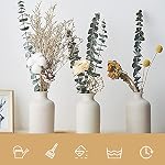 2Pcs Ceramic Decorative Vase, Farmhouse Decor Small Flower Vases Coarse Ceramics Room Home Modern Farmhouses, Ideal Shelf Table Bookshelf Decorations (Off-whitex2)