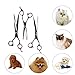 ColorPet Curved Scissor Set- Perfect For Pet Grooming, Durable Stainless Steel by ColorPet
