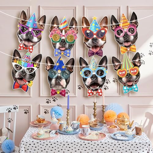 Image of Boston Terrier Birthday Garland - Photographic Boston Terrier Faces Birthday Banner, Funny American Gentleman Bday Party Decoration for BostonTerrier Lovers, Easy Assembly