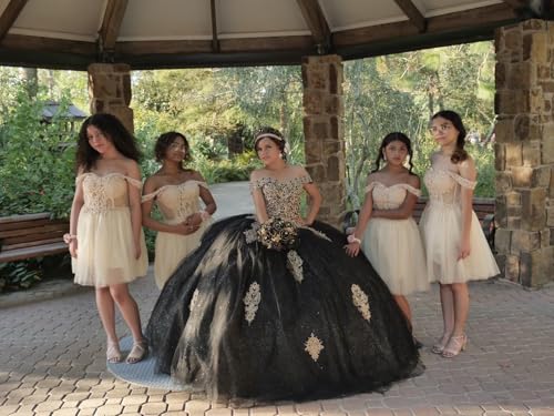 JAEDEN Prom Dress Lace Short - HOCO Dresses for Teens 2025 Tulle Homecoming Dresses4