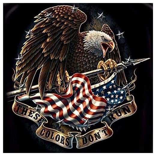 Anbys 5D DIY Diamond Painting by Numbers Full Drill Kits for Adults and Kids Diamond Art Craft Gift for Home Wall Decor Cool Eagle (15.8 x 15.8 in)
