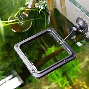 Fish Feeding Ring, Fish Safe Floating Food Feeder Circle Blue, with Suction Cup Aquarium, Square and Round Shape Fish Tank Towels - for Guppy, Betta, Goldfish, Etc (1 Square)