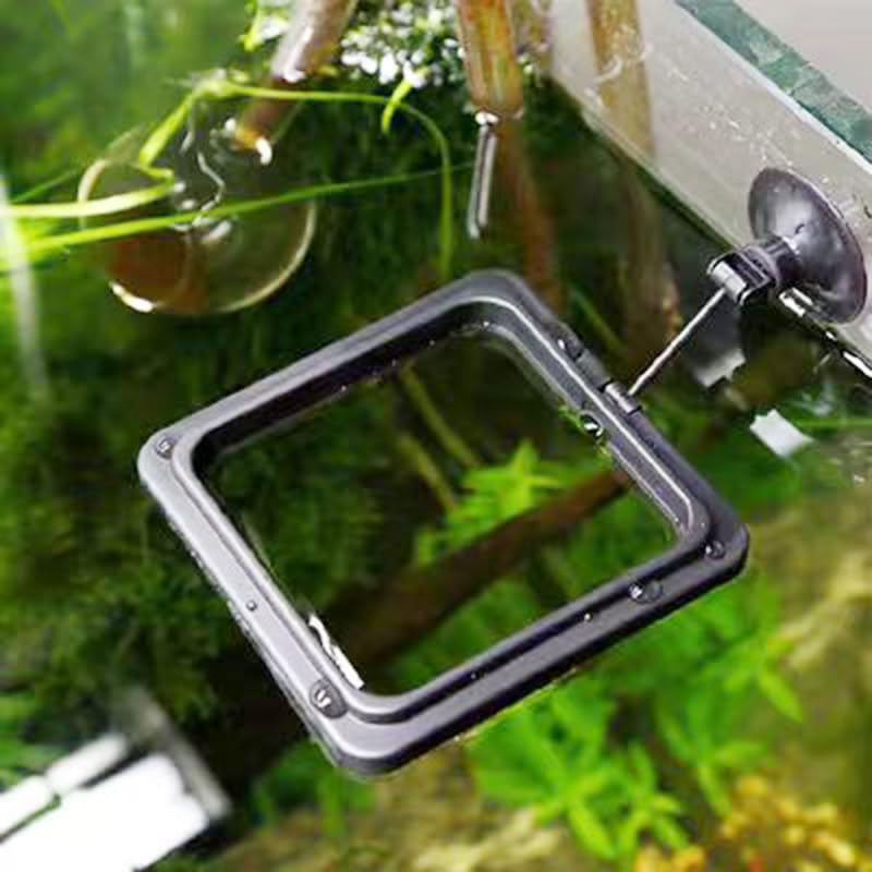 Image of Fish Feeding Ring, Fish Safe Floating Food Feeder Circle Blue, with Suction Cup Aquarium, Square and Round Shape Fish Tank Towels - for Guppy, Betta, Goldfish, Etc (1 Square)