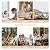 Ausic Portable Misting fan, 10000mAh USB Rechargeable Battery Powered Fan with Mister, 8-Inch Cooling Mist Fan with 250mL Water Tank & LED Lantern, for Home Desk, Camping, Outdoor&Indoor Use