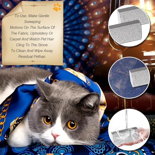 2 Stück Bimsstein, Tierhaarentferner für Haustiere, Fußpflege Werkzeug und Teppich Hundefell Entfernung