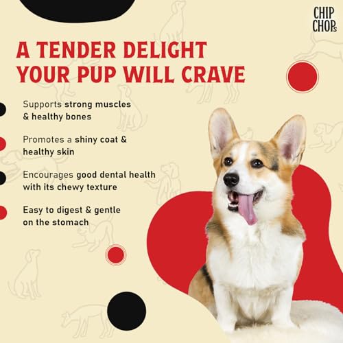Image of Combo of Chip Chop DogTreat, Healthy Nutritious Treat, Chicken & Codfish Sandwich and Chicken Tenders Easily Digestible Treats, Suitable for All Dog Breeds, Each 70 gm