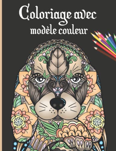 Coloriage avec Modèle Couleur: Cahier de coloriage pour Adulte et Adolescent - 20 dessins à colorier - Une activité anti-stress, relaxante et reposante