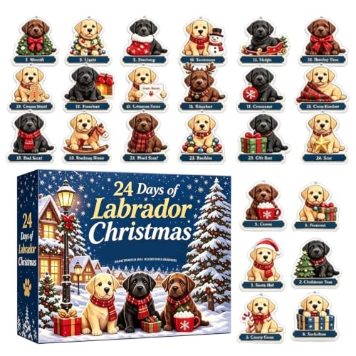 Calendrier de l'Avent en acrylique 2D pour chien - 24 jours | Jouet pour petits animaux, décoration de style maison de campagne pour adultes et enfants, fenêtre, porte, mur, maison, ferme