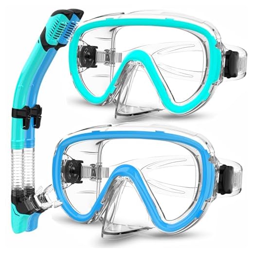 Bairuifu 2 Packs Dry Snorkel Mask Set Snorkeling Gear for Adults Scuba Diving Mask Swimming Glasses Swim Dive Mask Nose Cover Free Diving