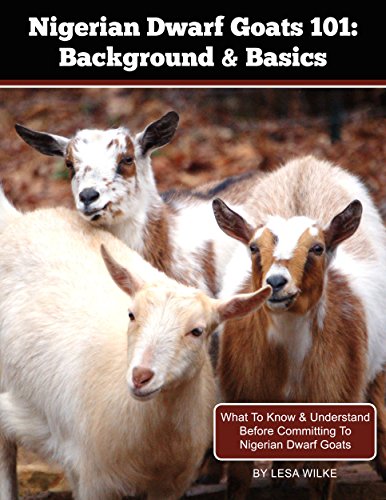 Nigerian Dwarf Goats 101: Background & Basics: What To Know & Understand Before Committing To Nigerian Dwarf Goats