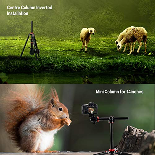 ZOMEi 75'' Tripod,Camera Tripod for DSLR,Ball Head Tripod Professional Tripods 4 Section Horizontal Tripod with 360 Degree Ball Head Plate for Canon DSLR DV Scope Camcorder and Projector