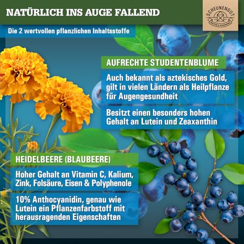 ADLERAUGE® Augenvitamine Hochdosiert -WICHTIG: Laborgeprüfter Markenkomplex mit Lutein, Zeaxanthin, Heidelbeer-Extrakt, Beta-Carotin, Vitamin A+B uvm. 120Stk DE SCHEUNENGUT®