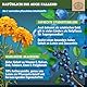 ADLERAUGE® Augenvitamine Hochdosiert - WICHTIG: Laborgeprüfter Markenkomplex mit Lutein, Zeaxanthin, Heidelbeer-Extrakt, Beta-Carotin,Vitamin A+B &mehr I 120 Stk -DE- SCHEUNENGUT®