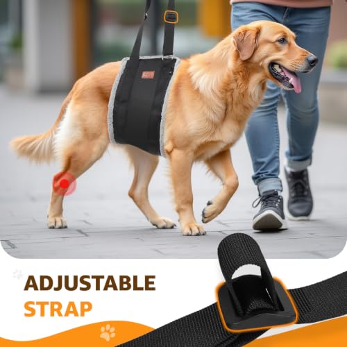 Image of Adjustable Dog Sling for Large Dogs Hind Leg Support Weak Legs Mobility Aid