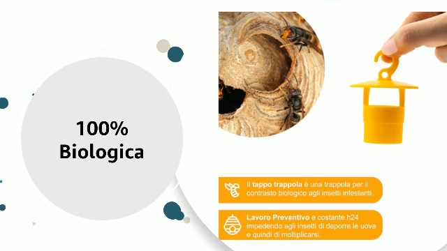 Tappo Trappola Per Mosca Olearia | Pierucci Agricoltura - Foto 8