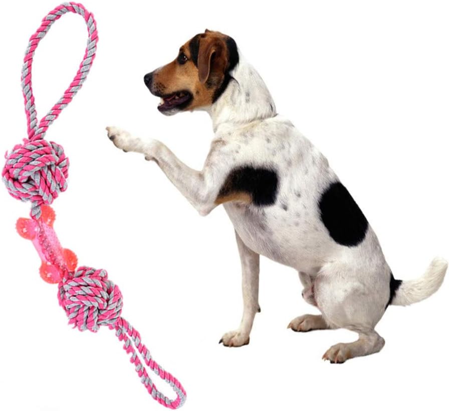 masticazioni per cani di lunga durata