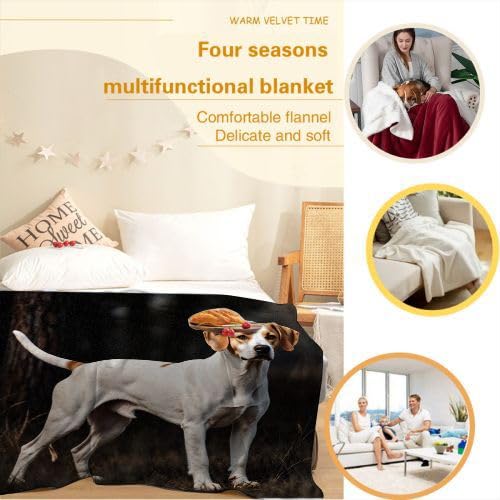 Couverture Polaire 240 x 260 Animaux Chiens, Couverture Polaire Grande Taille 240x260 cm | Usage Multiple comme Couette d'Appoint, Assure Une Protection Contre Le Froid B283