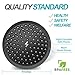 SparkPod High-Pressure Rain Shower Head with Matching 11