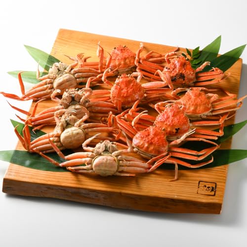 H삳 l䥂ŉzOɏtɖIʁyⓀzzOY͎RAYs①ցtԌ̕䌧YI (IʂI 10t)