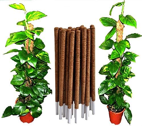 SiriDepot COCO POLE COCONUT COIR FIBRE PLANT SUPPORT STAKE 1m, 1.2m PACK OF 2 (1 Metre, Pack of 2)