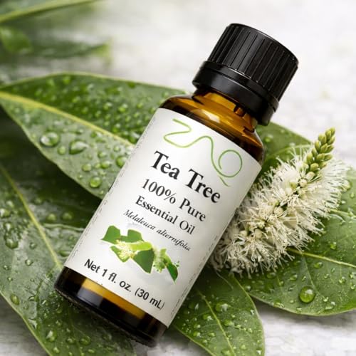 Aceite Esencial Puro ZAQ Árbol de Té 100% miniatura 6